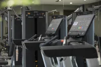 UrCove by Hyatt Cangzhou Grand Canal - Gym