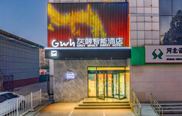 Grey Whale Smart Hotel (Boye Bus Station)