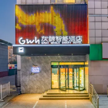 Grey Whale Smart Hotel (Boye Bus Station)