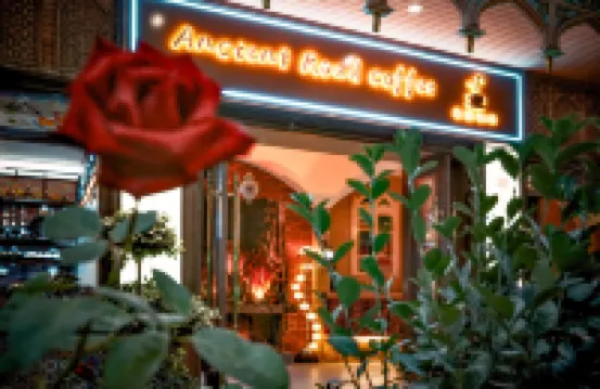 Gudao Yunju · Hand-brewed Coffee · Life Aesthetics Designer Meisu Hotels in 