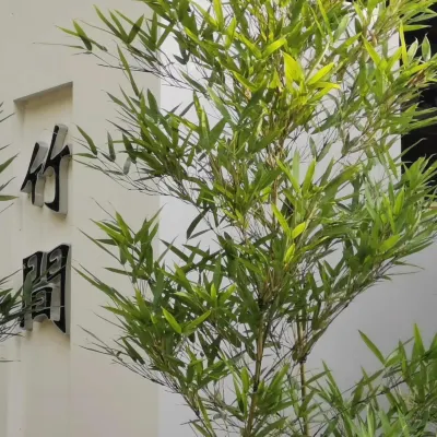Emei Bamboo Hills Private Hot Spring Hostel Hotels near Fuhu Temple