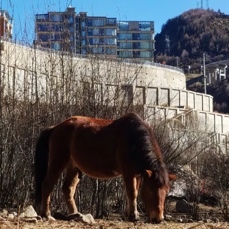 Lvxiang · Snow-Mountain View Meditate Hotel (Siguniang Mountain Branch)
