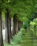 ウィーンホテル（弥勒湖泉水鄉温泉） - カップル