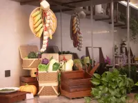 Howard Johnson Huaqiao Plaza xinyu