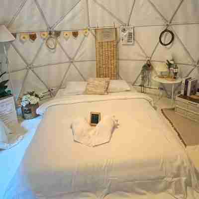 Camping Land Rooms