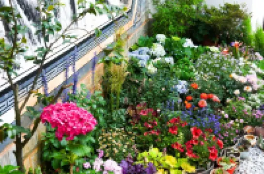 Wan'an Courtyard (WeiShan Ancient City)