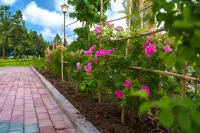 Nilka County Hechang Homestay - Kæledyr tilladt