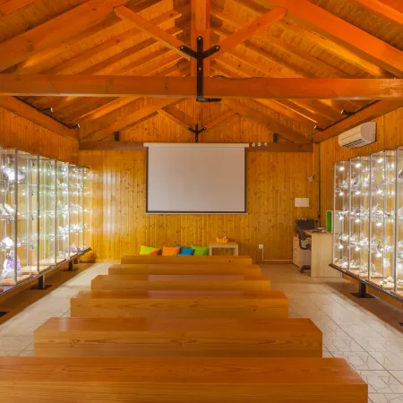 Hotel Dom Goncalo & Spa