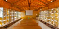 Hotel Dom Goncalo & Spa - วิว