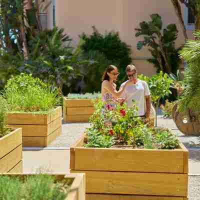 PortoBay Blue Ocean Hotel Exterior