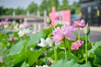 gemHotel (Xiong'an New District Rongcheng Government Affairs Center Gymnasium) Hotels in Rongcheng