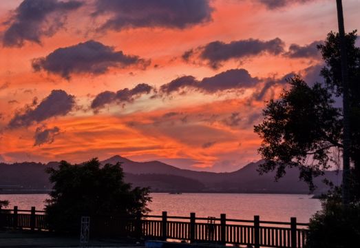 선전위쑤린팅 홈스테이 객실