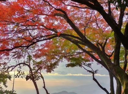 莫干山蔓庭花園觀景度假別墅