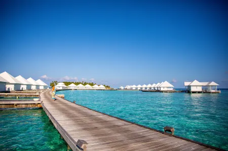 Diamonds Athuruga Maldives Resort & SPA Отели в г. Кандхолуду