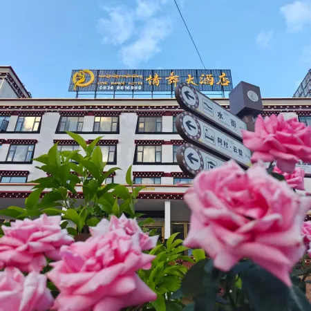 Waka Love Dance Hotel