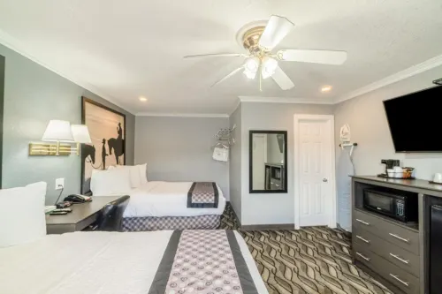 Purple Sage by OYO Snyder TX