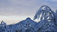 Tianquan Chuanzang · Chama Post Homestay - Mountain view