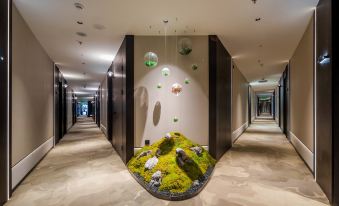 X·Aptism xinyu