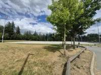 Cozy and Homey 2 BR Suite - baignoire