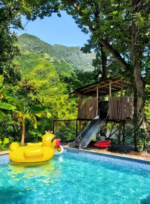 Youxing Mountain House · Misty Bamboo Sea · Swimming Pool Creek Tracing Family Boutique Stay - 인피니티 풀