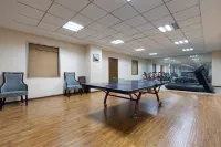 Jiayuan Hotel (Hami Yingbin Avenue) - salle de sport