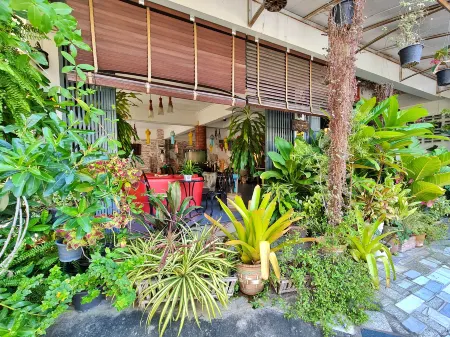 Bed and Terrace Guesthouse Chiang Mai