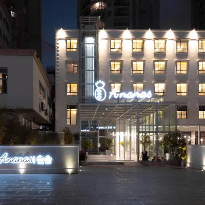 The Ananas Hotel (Beichen Expo Garden) Hotels near Jindian Scenic Area