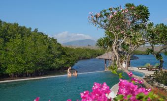 Mimpi Resort Menjangan