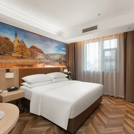 Vienna Hotel (Xingyang Government Branch)