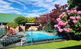 Regency Motel Ashburton