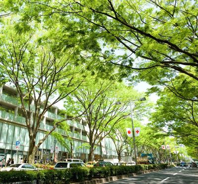 ホテル周辺 ホテルアラマンダ青山の写真