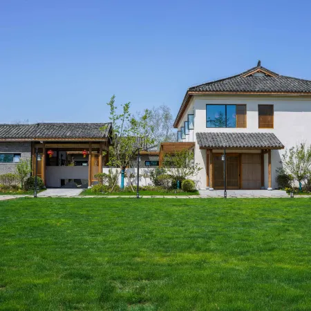 Dangshan Pear Tree King homestay