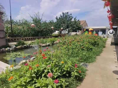 劉家小院ファームステイ（雲岡石窟） 雲岡石窟周辺のホテル