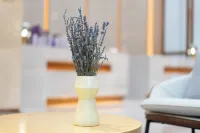 Starway Hotel (Kashgar Ancient City Wanda Plaza) - บริการรถรับส่ง