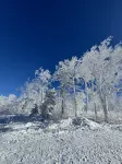 Xueyaoju · 270° Snow View Vacation Designer Villa Boutique Stay (Snow Town Scenic Area) Hotel di Snow Town Scenic Aera