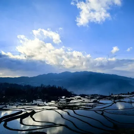 Rice Field Ideal | Blue Terraced Fields Panoramic View Homestay
