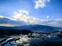 Rice Field Ideal | Blue Terraced Fields Panoramic View Homestay - Mountain view