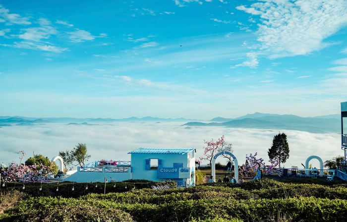 Cloud9 and Cloud View Glamping