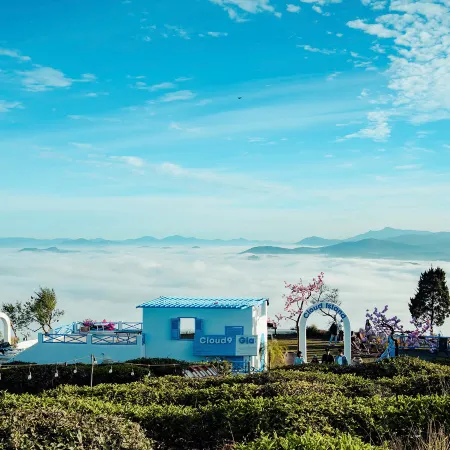 Cloud9 and Cloud View Glamping