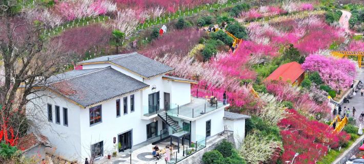 Wangmeishan Residence Hoteles en Ningshan