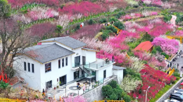 Wangmeishan Residence