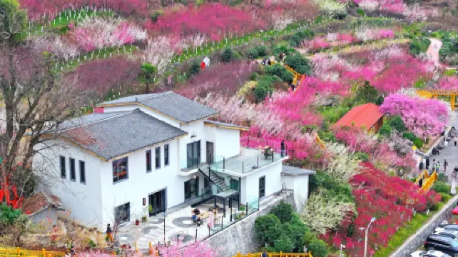 Wangmeishan Residence