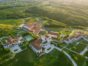 Longting Vineyard