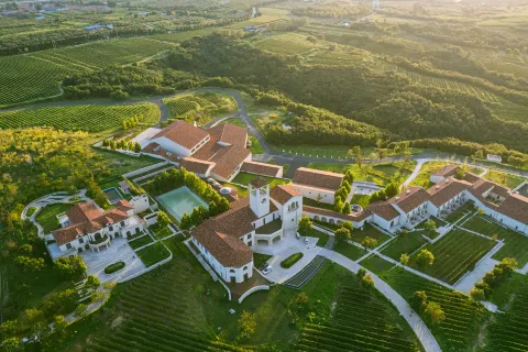 Longting Vineyard