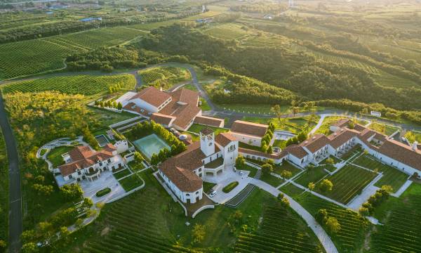 Longting Vineyard