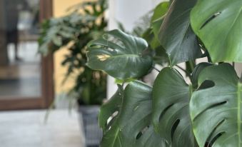 Pamela Cao Bang Homestay