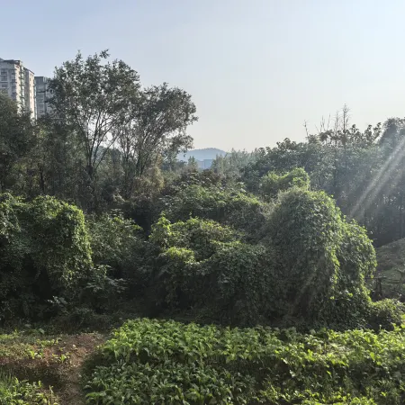 Zhouming Yuxiang Express Hotel (Suining Railway Station)