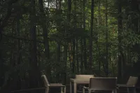 COCO VILLA Yatsugatake — Sauna, BBQ & fireplace, outdoor retreat with forest bathing and patio golf - Villas