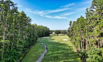 Saddlebrook Resort