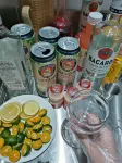 Dongjianghu Arctic Island Homestay - Barer